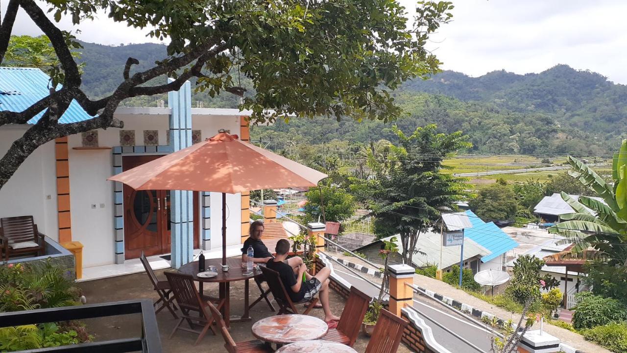 Bintang Bungalow Tour & Travel Kelimutu Exterior photo